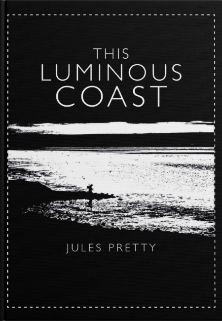 This Luminous Coast (2011)