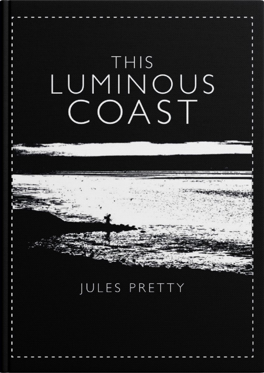 https://julespretty.com/content/uploads/2024/05/The-luminous-coast.png--850x1200.png