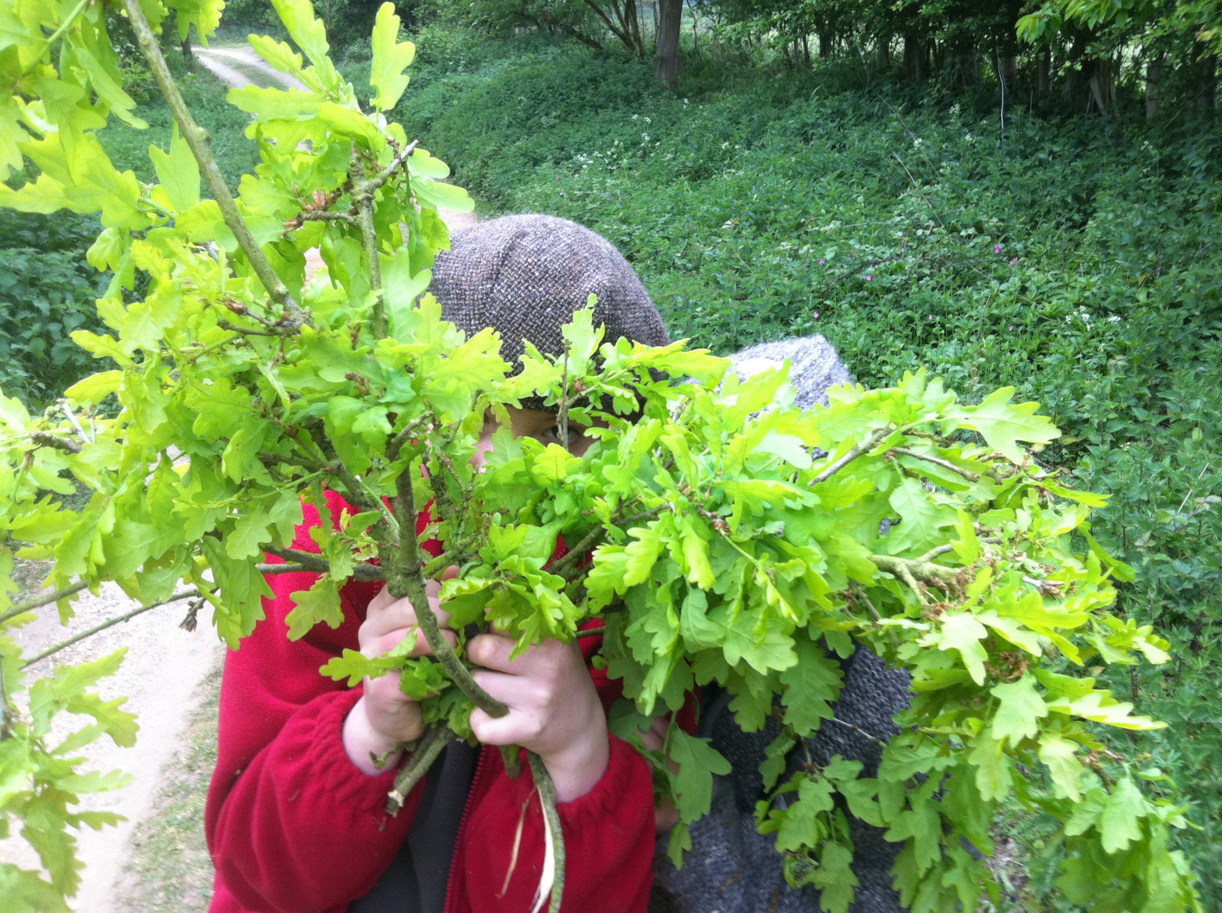 The mental and physical health outcomes of green exercise - Jules Pretty